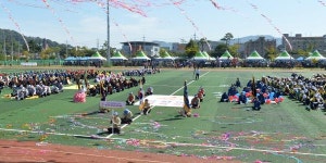 강화군, 제77회 강화군체육대회 개최