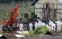 아프리카돼지열병 살처분 대상 6만마리 넘어…살처분 참여자 트라우마 예방교육·심리상담 지원