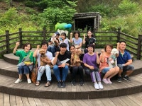 반려견과 숲에서 치유받고 가세요