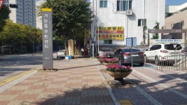 의정부시, 가능동 주민센터 앞 시클라멘 식재