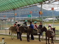 강동구, 드림아 야놀자
