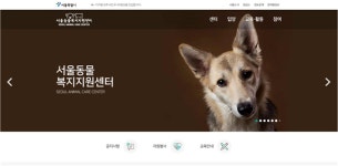 서울동물복지지원센터 홈페이지 신설… 유기견 입양정보 클릭