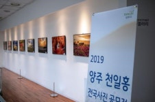 양주시청 감동갤러리, 가을 양주나리농원의 아름다운 추억 선물