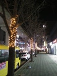 의정부2동 신흥로 은하수 가로수길 조성