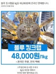 킹크랩시세 , 공급과잉으로 빚어진 현상, 마스크 착용해야