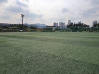 축구장 시설 확충 및 보수 적극 노력