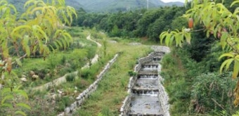 장수군, 군민의 생명과 재산 보호를 위한 사방사업 시행