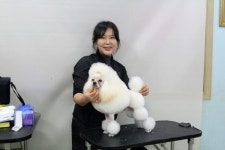탑애견미용학원 안해은 원장, 강아지와 교감을 하며 내손으로 만들어 나가는 성취감과 즐거움을 얻을 수 있는 직업입니다.