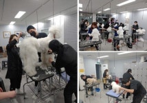 '탑애견미용학원' 안해은 원장, "강아지와 교감을 하며 내손으로 만들어 나가는 성취감과 즐거움을 얻을 수 있는 직업입니다."