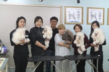탑애견미용학원 안해은 원장, 강아지와 교감을 하며 내손으로 만들어 나가는 성취감과 즐거움을 얻을 수 있는 직업입니다.