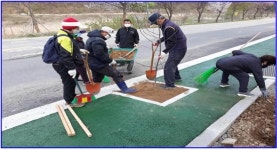 동면 덕치리, 사과나무 식재로 명품 가로수 길 조성