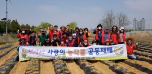고양시 능곡동사랑의 고구마 심기추진