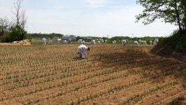 한익스프레스 물류센터 화재현장 민관군이 힘 모아 수습