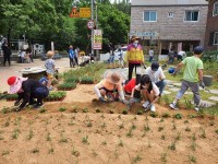 고양시 원당 도시재생 주민협의체, 주민들이 직접 가꾸는 배다리 마루 뜰 마을정원 식재행사 개최