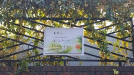 영등포에 시 익는 마을…골목길이 시화 갤러리