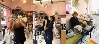반려견은 모두 죄가 없다, 내 가족처럼 사랑으로 돌보는 부산 수영구 아가삐 조민경 대표