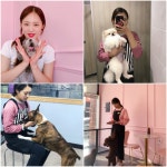 영천 애견미용 잘하는 곳으로 호평, 영천시 망정동 위치한 퍼피살롱 이수현 대표 내 가족처럼 소중하게!