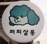 영천 애견미용 잘하는 곳으로 호평, 영천시 망정동 위치한 퍼피살롱 이수현 대표 내 가족처럼 소중하게!