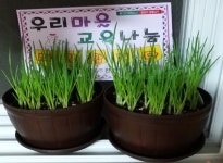 대구광역시 남구, 대명3·5·6동 우리마을 교육나눔사업