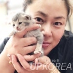 [천안시 서북구 성정동 고양이 미용]이제 고양이 무마취 미용도 프랜차이즈로 만나세요. 고양이 무마취 미용 전문 천안 성정동 야옹아놀자... 