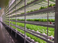 대전시, 아파트 단지에 식물농장 일군다