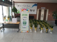 횡성읍행정복지센터, 불우이웃 성금 마련을 위한 화분 나눔 기부 행사 추진
