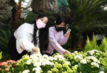 지리산허브밸리 겨울정원 온택트 개최