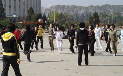 한 중국인의 북한 방문기 김뚱보 일찍 권력 넘겨야