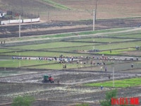 [북한읽기] 北 포전담당제, 농민에 실제 이득이 되고 있나