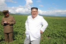 삼천 담배농장 ‘50일 전투’ 성과적, 비결은 ‘점심식사 제공’
