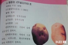 올종 감자와 보리 분배 이뤄져…춘궁기 절량세대 식량 해결 도움