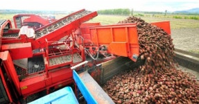 “녹말가루 3톤 착복”...양강도 대홍단군 협동농장 대대적 검열