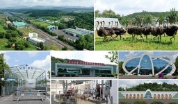 평양타조목장서 김정은 선물타조 80여 마리 집단 폐사