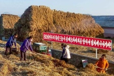 [북한읽기] 군대까지 동원 곡물 강제 징수...약속 저버린 北 김정은