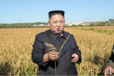 콩 300kg 가져와라...북한 9군단, 병사에 ‘낟알 휴가’ 줬다