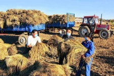 청진시 양정사업소 일꾼들, 재자원화 불이행으로 검찰에 연행