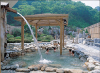 퇴촌 스파그린랜드, 스파와 유기농 무료햇밤 줍기 진행