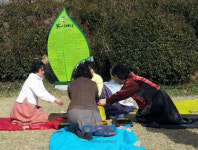 하동군, 시배지(始培址) ‘차나무’ 경주 흥덕왕릉 식재