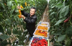 경남 산청군, “피노키오 파프리카를 아세요?”