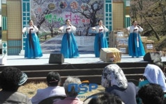 경남 함양 ‘제11회 백운산 벚꽃축제’ 개최