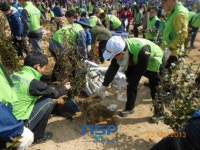 부산경남 코레일, 강서구 화전산업단지 녹지대에 700그루 식수