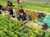 담양군, 행복마을 평가에서 3년 연속 수상