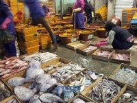 여수 명소 ‘이순신 광장 바닷길’, 썪은 생선 비린내로 악취 몸살