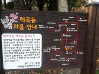 전남 순천, “매곡동으로 홍매화 구경오세요”