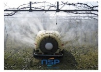 보성군, 과수 월동 병해충 박멸에 적극 나서