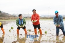 [지역경제]순천농협, 순천 해룡면서 첫 모내기···120ha 단지조성