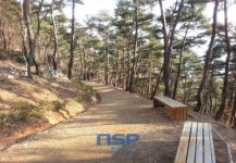 화순군, 등산로 대대적 정비 나서