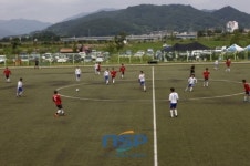 [지자체동정]보성군수기 동호인 축구대회 성황 外···장흥·함평