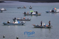 완도는 때아닌 쭈꾸미 낚시 한창