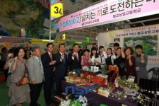 벌교상업고등학교, 명문 상업고로 부활